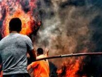 Лесные пожары в Греции: сожжены десятки домов, людей эвакуируют