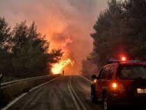 Сильный лесной пожар охватил греческий остров Родос