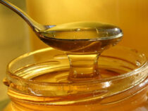Кыргызстан увеличил экспорт меда на 43%