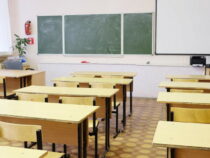 Порядка 20 новых школ будут сданы в эксплуатацию в новом учебном году