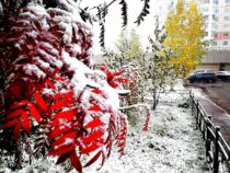 Неустойчивый характер погоды сохранится в  Кыргызстане до 7 октября