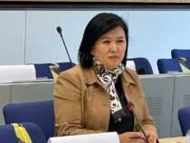 Ализа Солтонбекова: Госорганы предпринимают меры по защите социально уязвимых членов семей