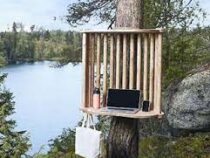 В Финляндии создают офисы на деревьях