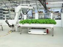 Роботы помогут спасти урожай от засухи в США