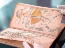 Саудовская библиотека приобрела книгу 14 века по анатомии