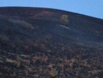Пожар на склоне холма в селе Байгелди полностью потушен