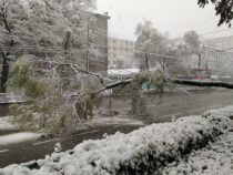 В конце этой недели в Бишкеке ожидается первый снег