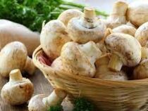 Употребление в пищу грибов оказалось способно снизить риск возникновения депрессии