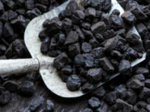 Кабмин рассматривает вопрос введения временного госрегулирования цен на уголь
