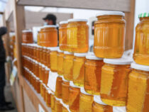 Более 291 тонны меда   экспортировал Кыргызстан в этом году
