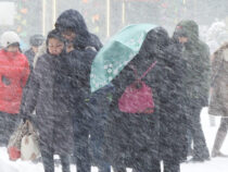 Снегопад   в Бишкеке  утихнет только после  полудня