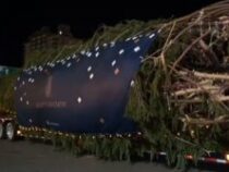 Два дня в пути на 35-метровом прицепе: в Нью-Йорк привезли главную рождественскую ёлку