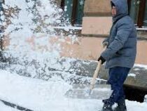 Для борьбы со снегом в Петербурге придумали «дворник-шеринг»