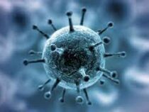 Израильские ученые разработали способ уничтожать коронавирус за две секунды