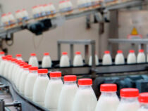 В Кыргызстане резко подорожало молоко
