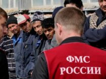 Новый сервис для мигрантов появится в России
