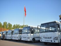 Почти половина автобусов из Узбекистана простаивает из-за нехватки водителей