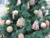 Пять новогодних елок будут установлены в Бишкеке в этом году