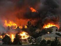 Лесные пожары уничтожили сотни домов в США