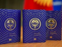 В Кыргызстане изменился срок действия загранпаспортов для детей