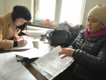 На 221 земельный участок в Бишкеке выданы техпаспорта