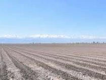 18 гектаров орошаемых земель под Бишкеком отданы под строительство
