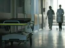 Трех жителей Сузакского района госпитализировали с подозрением на ботулизм