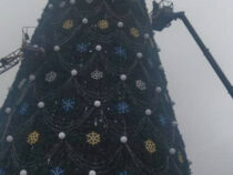 Мэрия Бишкека приступила к демонтажу елки на площади «Ала-Тоо»