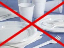 Запрет на пластиковую посуду ввели в Чехии