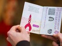 Паспорта со смурфиками можно получить с 7 февраля в Бельгии