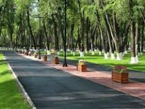 В БГК начала работу комиссия по определению участков для строительства парков