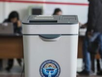 Повторные выборы в двух округах. Опубликован предварительный список избирателей