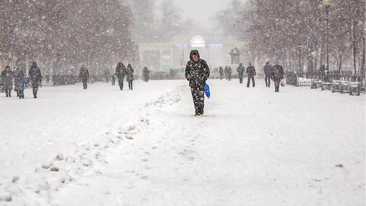 Москва какой будет зима. Зимняя погода. Тольятти зима. Тольятти зимой. Дождь со снегом в Москве.