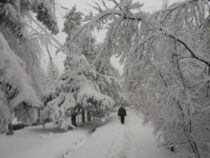 На Бишкек  надвигается мощный снегопад