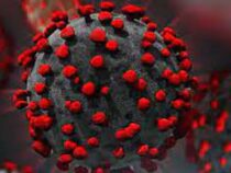 Китайцы научились выявлять коронавирус за считанные минуты