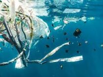 Пластиковый кризис предрекли человечеству