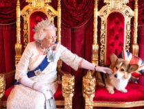 Королева Великобритании выпустила духи для собак
