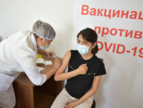 В Кыргызстане привиты 49% граждан, подлежащих вакцинации