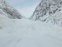 Дорогу Бишкек — Нарын — Торугарт планируют открыть в субботу