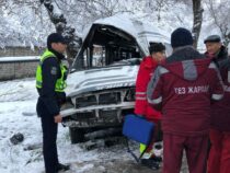 В Бишкеке маршрутка № 193 врезалась в дерево. Водитель скончался на месте