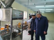 В Сузакском районе  запущен завод по производству растительного масла