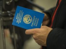 В Кыргызстане предлагают выдавать гражданство за крупные инвестиции