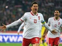 Сборная Польши обыграла Швецию и вышла на чемпионат мира по футболу