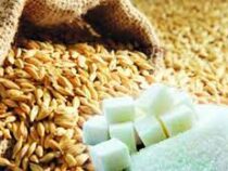 Правительство России временно запретило экспорт зерна и сахара