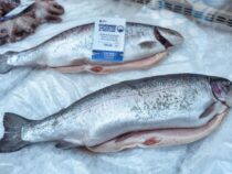 Половину выращенной в Кыргызстане  рыбы продали за рубеж