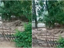 В Алае селевые потоки затопили два села