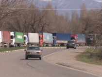 Сотни фур скопились на границе Кыргызстана и Казахстана из-за валютных колебаний