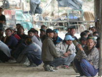 В Баткенской области отмечен самый высокий уровень безработицы по стране