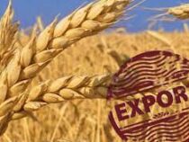Пшеница станет новым оружием России