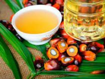 Индонезия запретила экспорт пальмового масла